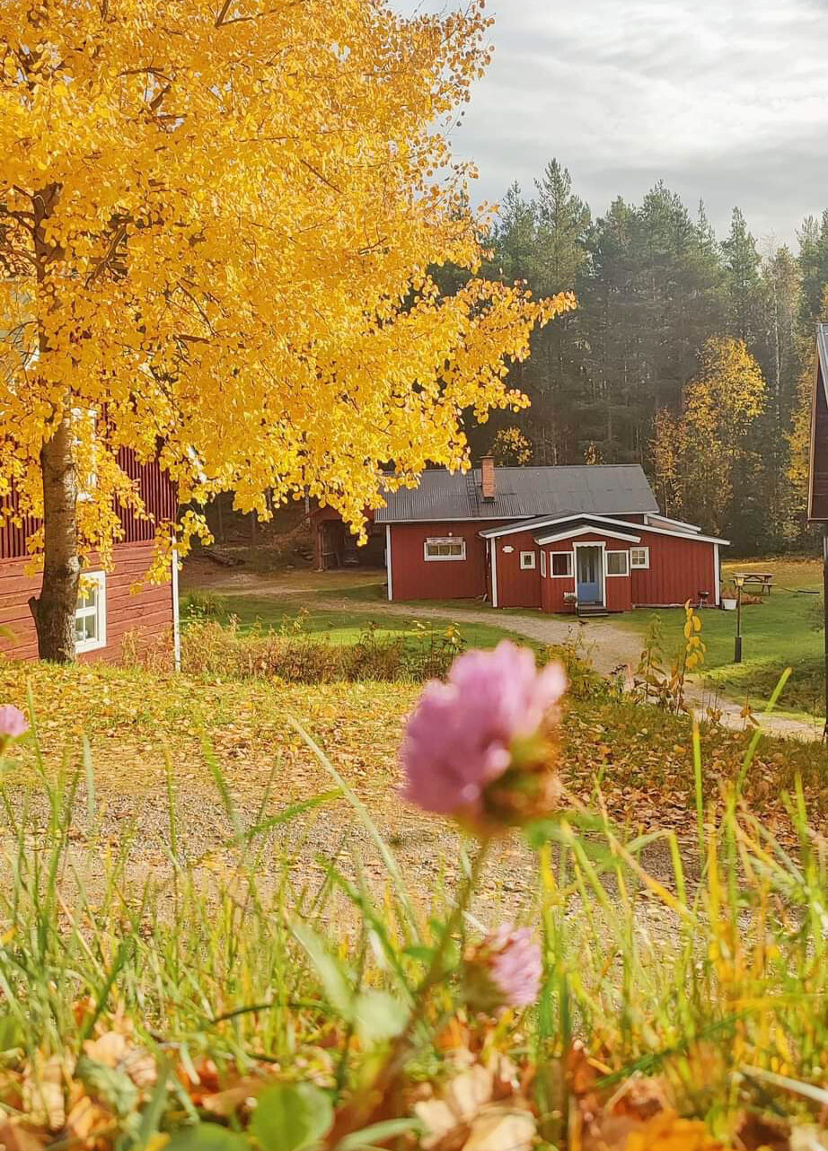 Stuga i Härjedalen