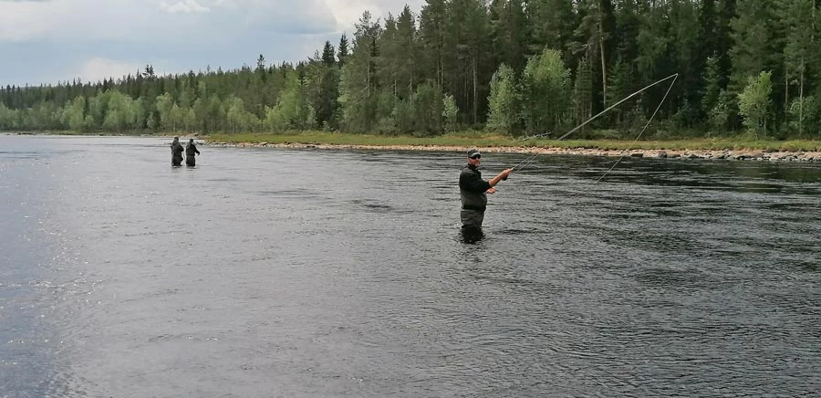 Flugfiskekurs med guidning